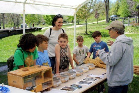 Education Day - Learning About Grain